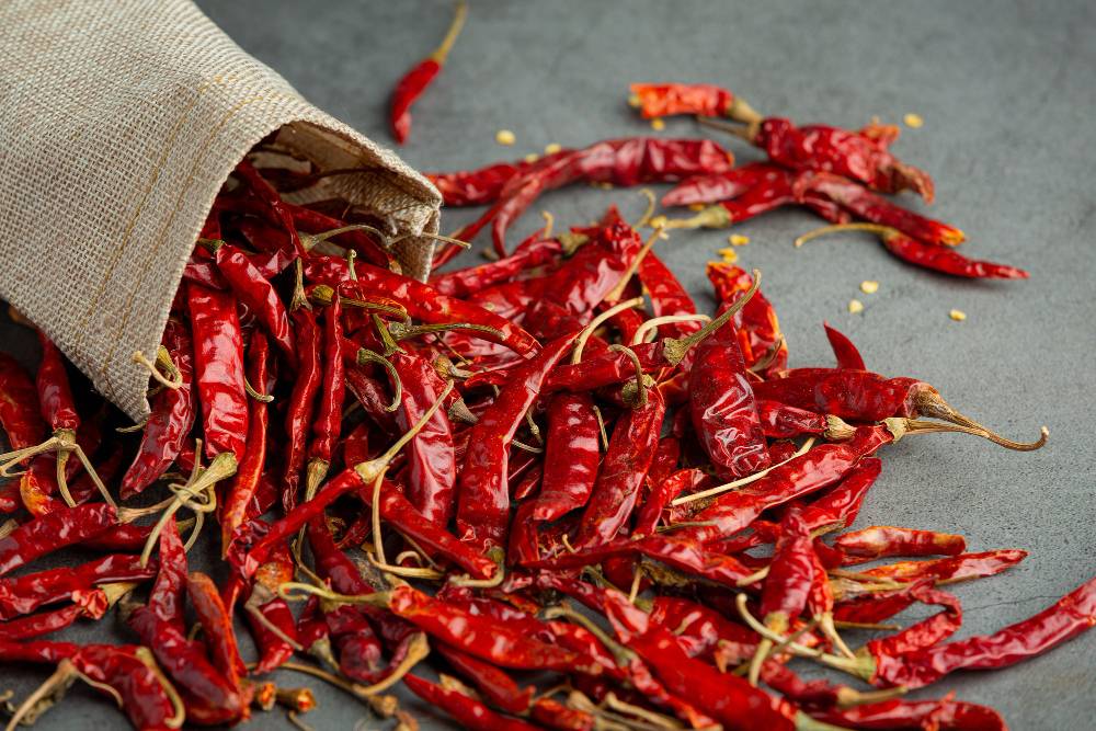Guntur Chilli